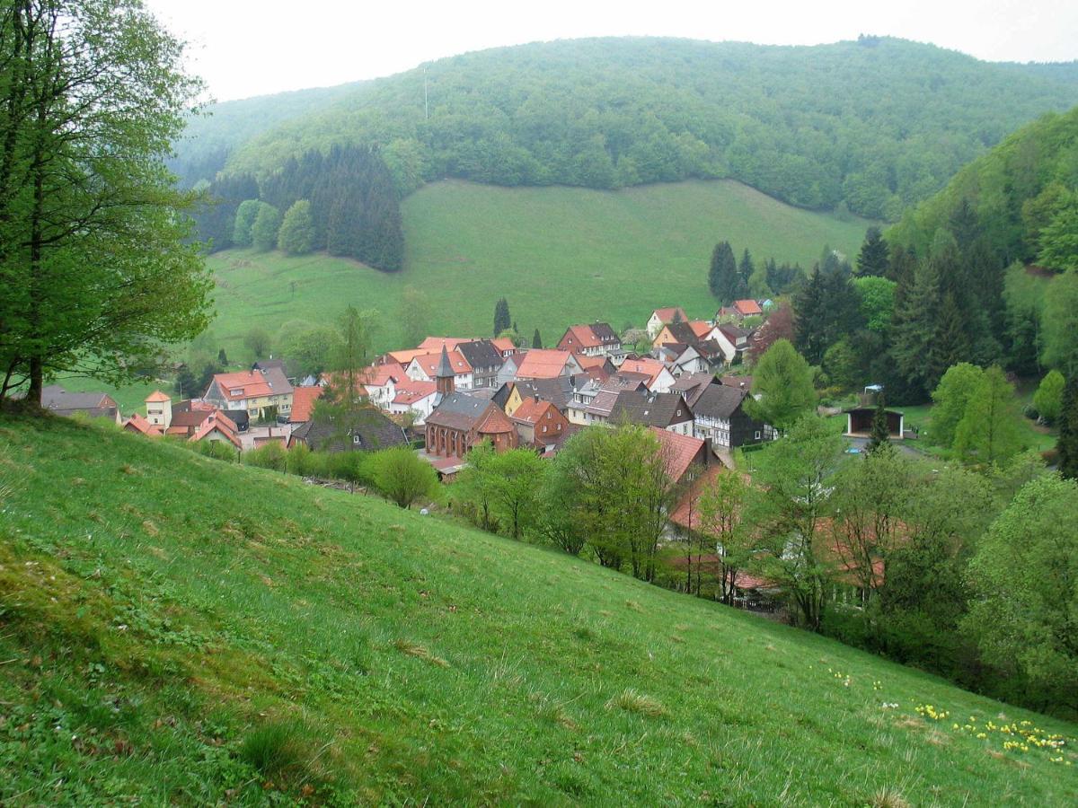 Haus Hirtenbergblick Lonau Exterior photo